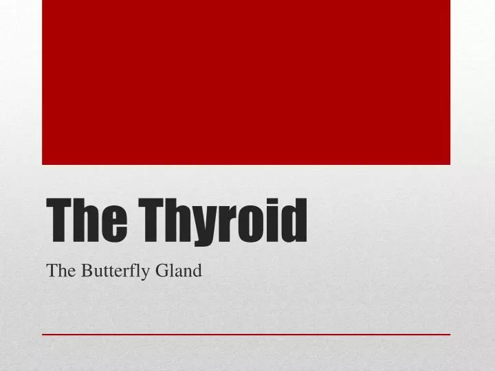 the thyroid