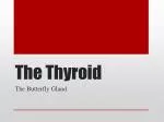 The Thyroid - slide 1