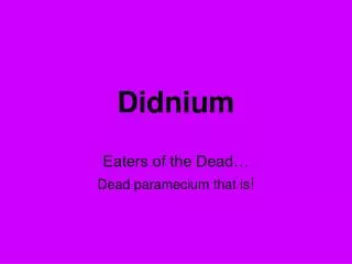Didnium
