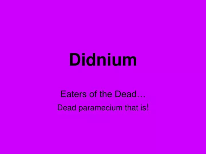 didnium