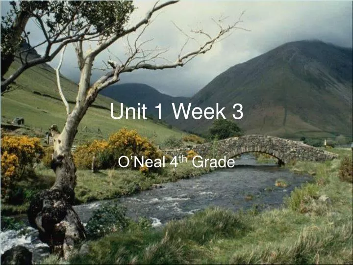 unit 1 week 3