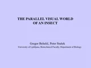 THE PARALLEL VISUAL WORLD OF AN INSECT