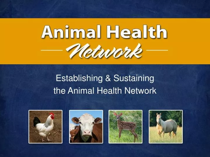 establishing sustaining the animal health network