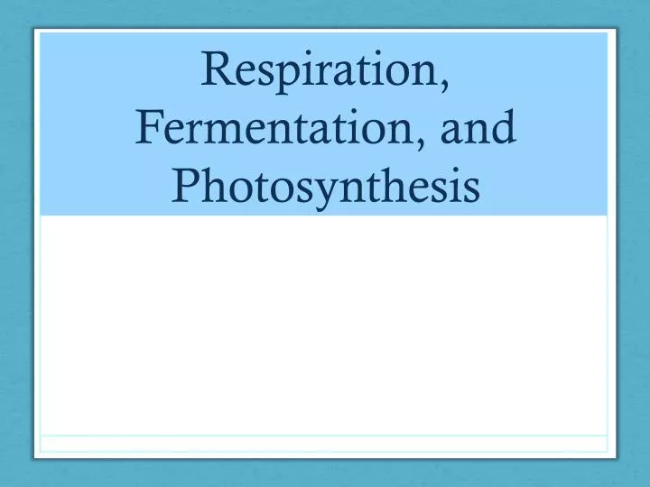 respiration fermentation and photosynthesis