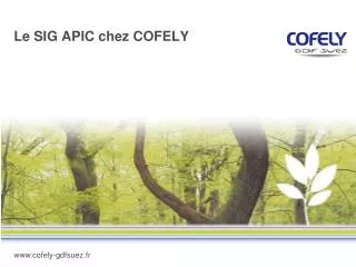 le sig apic chez cofely