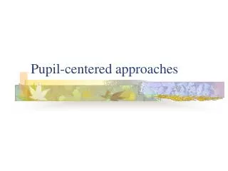 Pupil-centered approaches