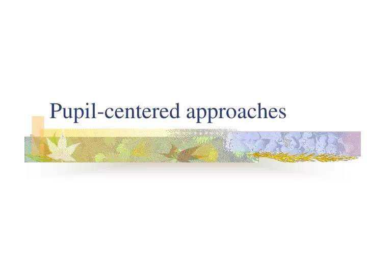 pupil centered approaches