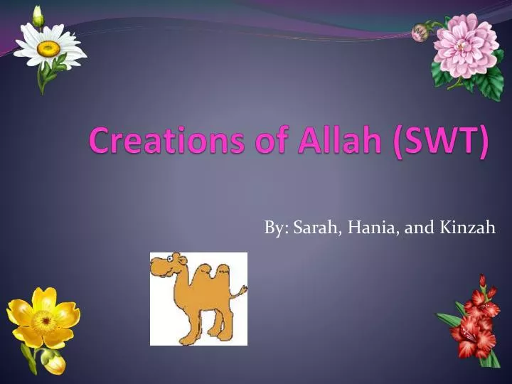 creations of allah swt