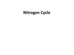 Nitrogen Cycle - slide 1