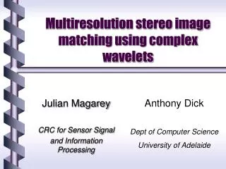 Multiresolution stereo image matching using complex wavelets