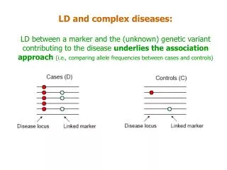 LD and complex diseases: LD between a marker and the (unknown) genetic variant