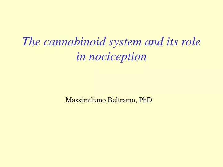 the cannabinoid system and its role in nociception