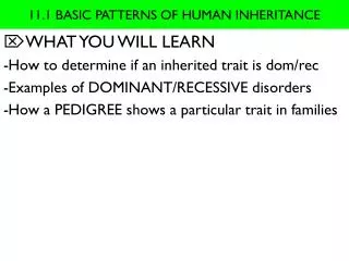 11.1 BASIC PATTERNS OF HUMAN INHERITANCE