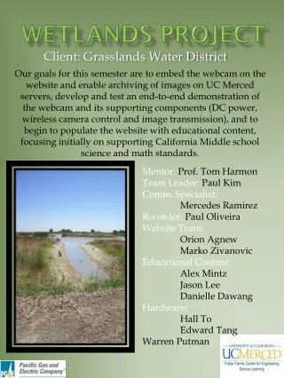 Wetlands Project