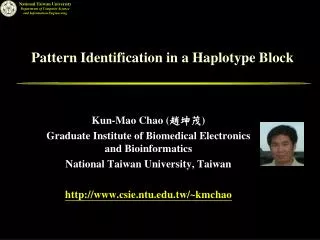 Pattern Identification in a Haplotype Block