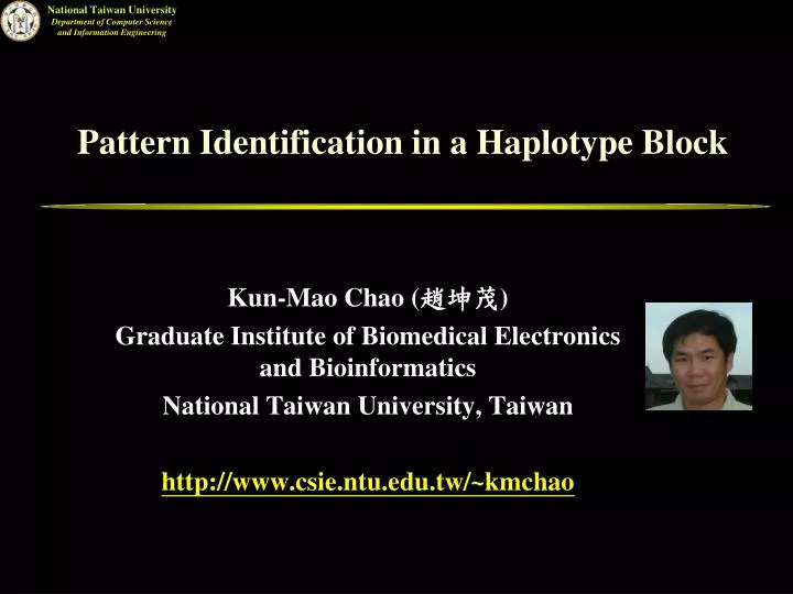 pattern identification in a haplotype block