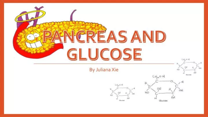pancreas and glucose