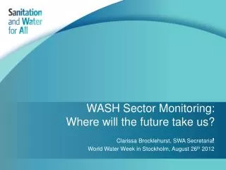 WASH Sector Monitoring: Where will the future take us? ,
