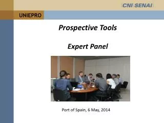 Prospective Tools Expert Panel