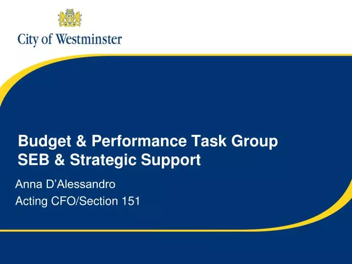 budget performance task group seb strategic support