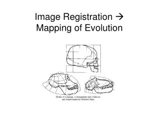 Image Registration ? Mapping of Evolution