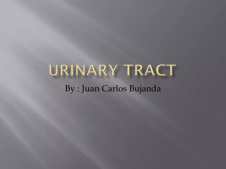 urinary tract