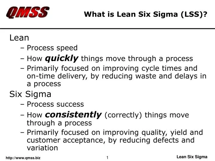 what is lean six sigma lss