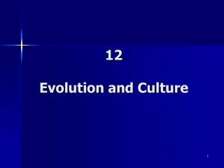12 Evolution and Culture
