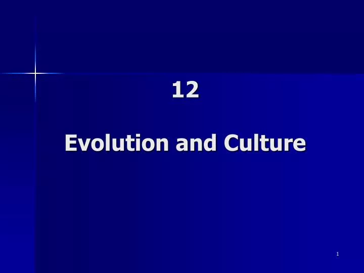 12 evolution and culture