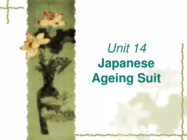 unit 14 japanese ageing suit