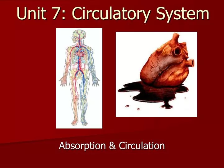 unit 7 circulatory system