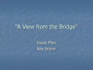 “A View from the Bridge”