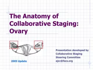 The Anatomy of Collaborative Staging: Ovary