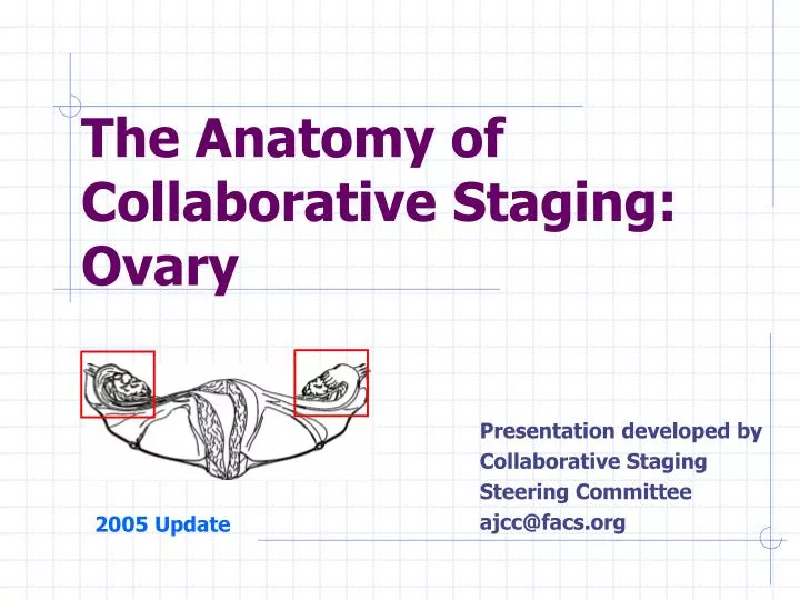 the anatomy of collaborative staging ovary