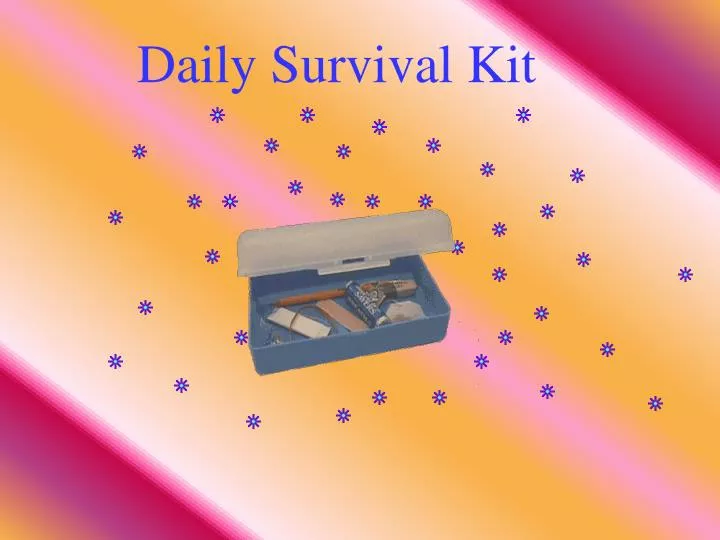 daily survival kit