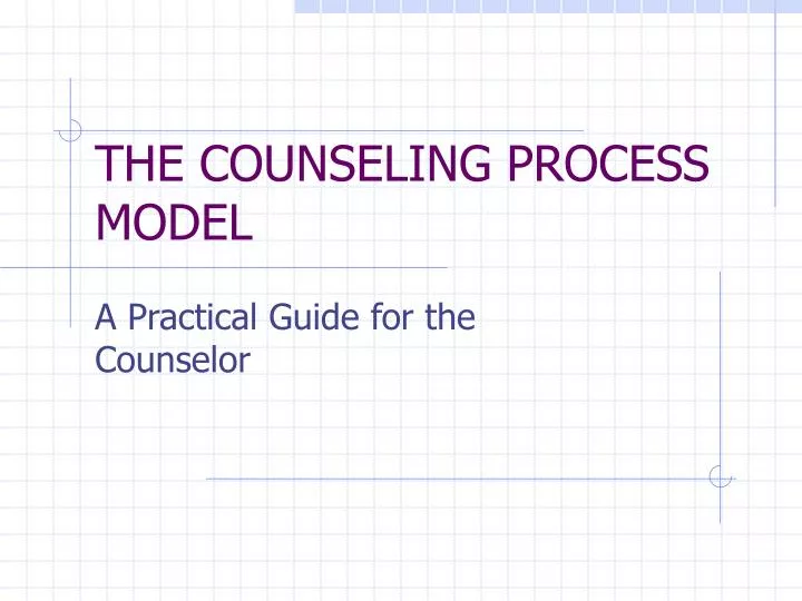 the counseling process model