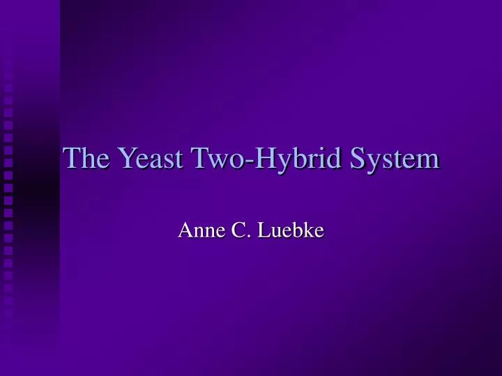 the yeast two hybrid system