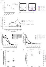 Efficient Phagocytosis Assays Optimization for HIV Research - slide 1