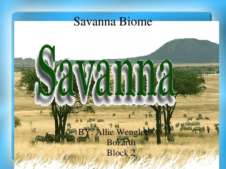 savanna biome
