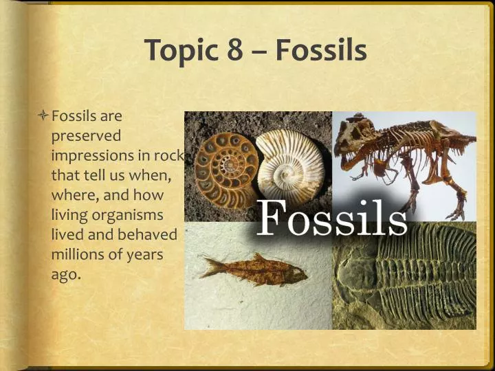 topic 8 fossils