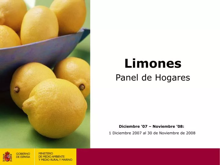 limones panel de hogares