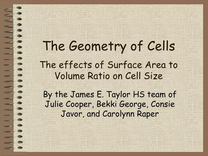 the geometry of cells the effects of surface area to volume ratio on cell size