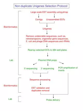 Bioinformatics