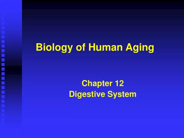 biology of human aging