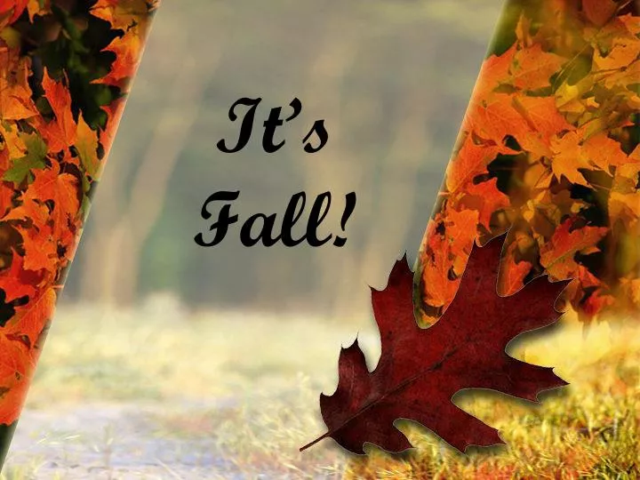 it s fall
