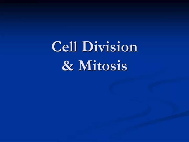 cell division mitosis