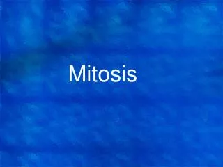 mitosis