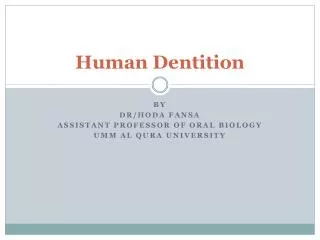 Human Dentition