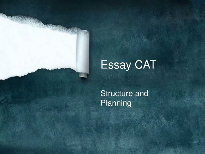 essay cat