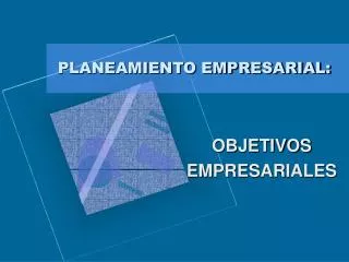 planeamiento empresarial